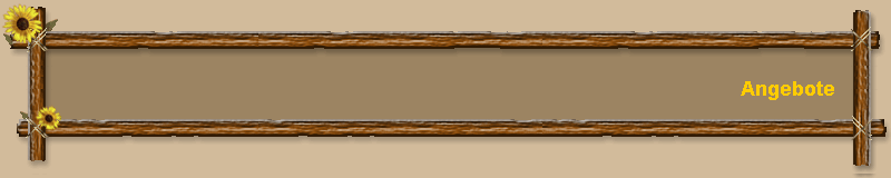 Angebote