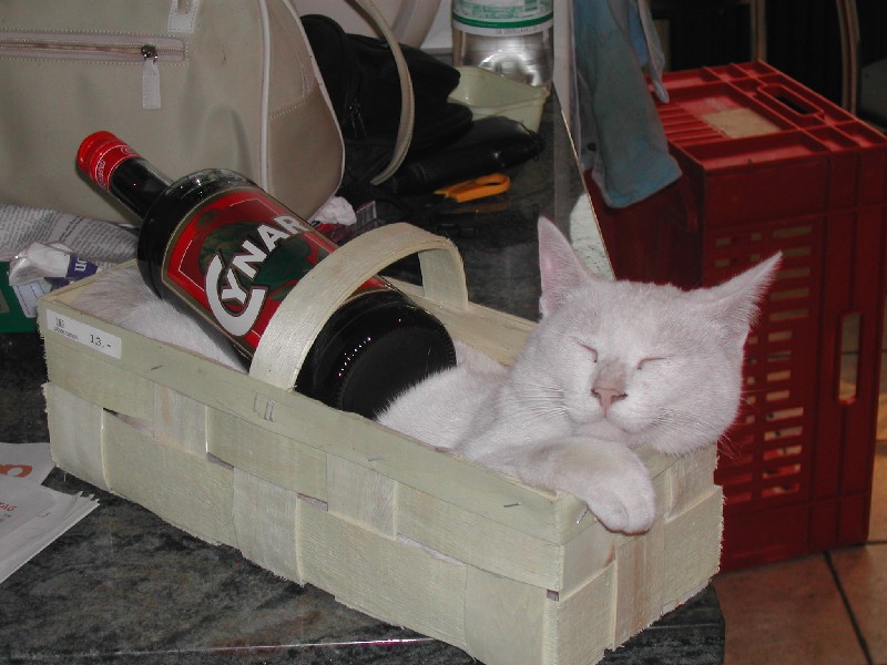 die beste Werbung f�r Cynar