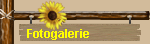 Fotogalerie