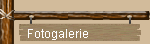 Fotogalerie