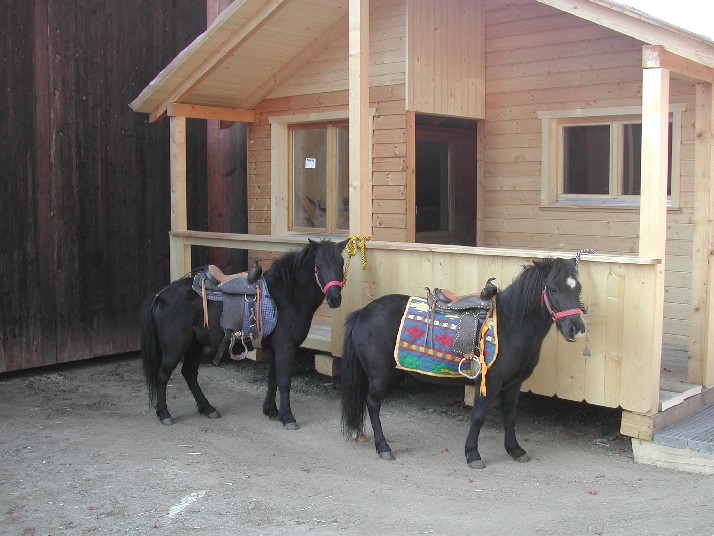 warten aufs Ponyreiten