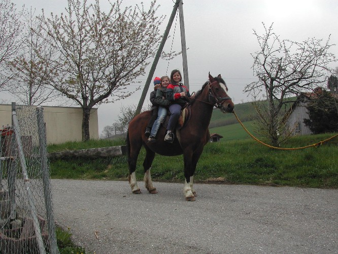Reiten mit Kindern