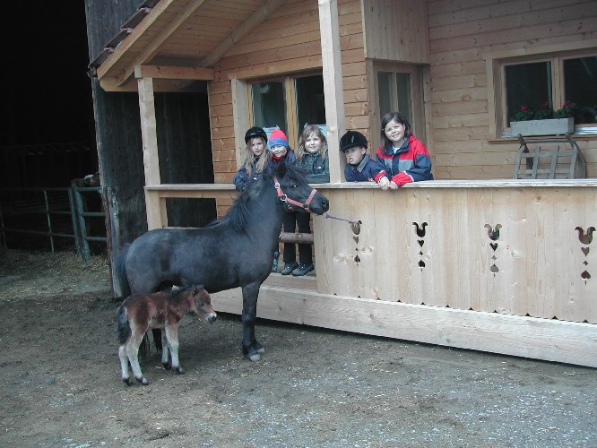 Fotoshooting mit Pony