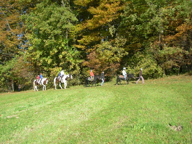 Reiten mit Kindern