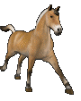 img_horse
