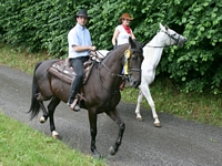 Westernreiten - das Erlebnis