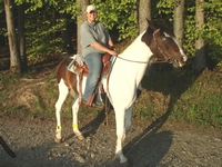 Westernreiten in der herrlichen Natur
